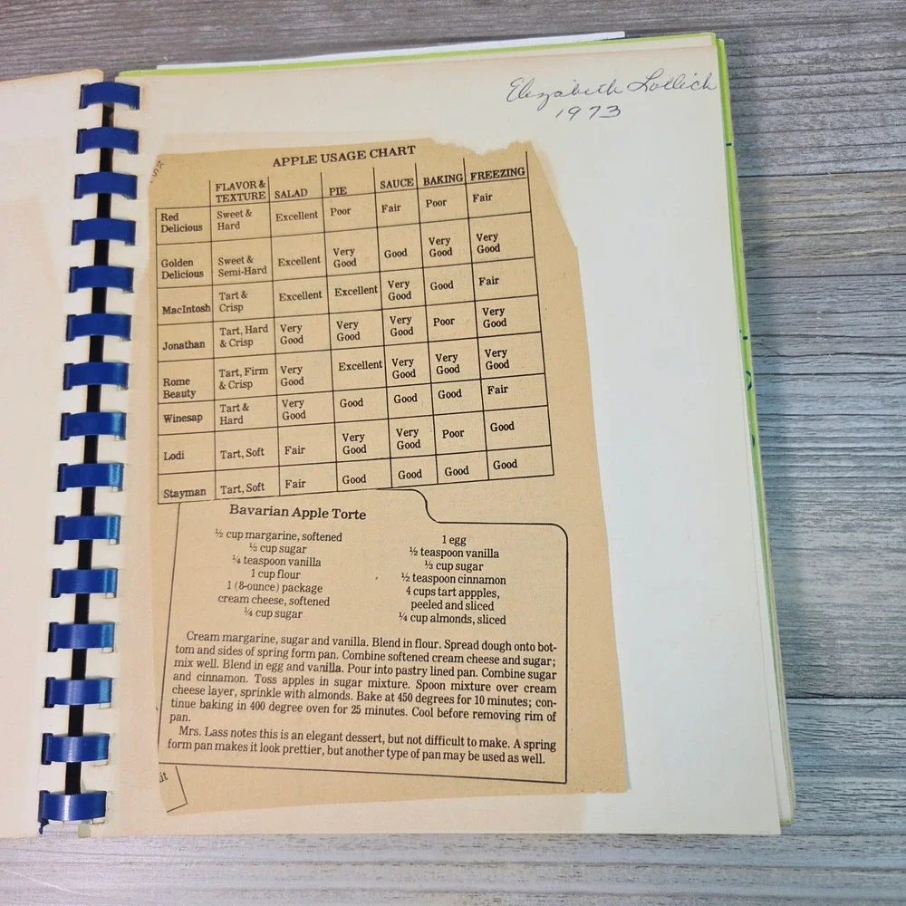 Agatha's Patchwork 1973 Vtg Iowa Community Cookbook‎ Jane Lamb Hospital Spiral
